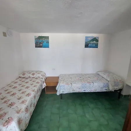 Spinesante Forio di Ischia
